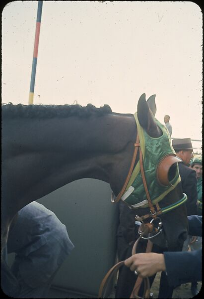 [306 Views of Aqueduct Raceway for Unpublished Sports Illustrated Article], Walker Evans (American, St. Louis, Missouri 1903–1975 New Haven, Connecticut), Color film transparency