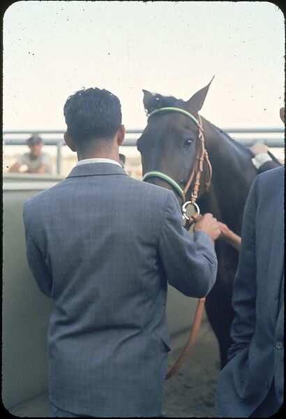 [306 Views of Aqueduct Raceway for Unpublished Sports Illustrated Article], Walker Evans (American, St. Louis, Missouri 1903–1975 New Haven, Connecticut), Color film transparency