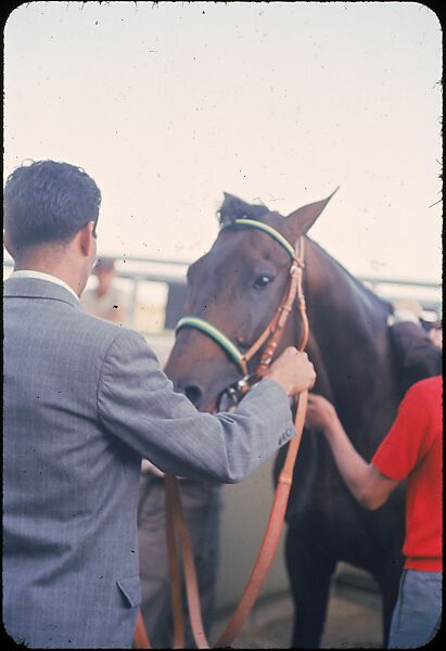 [306 Views of Aqueduct Raceway for Unpublished Sports Illustrated Article], Walker Evans (American, St. Louis, Missouri 1903–1975 New Haven, Connecticut), Color film transparency