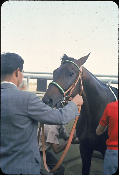 [306 Views of Aqueduct Raceway for Unpublished Sports Illustrated Article], Walker Evans (American, St. Louis, Missouri 1903–1975 New Haven, Connecticut), Color film transparency