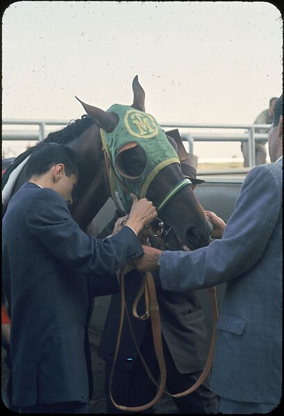 [306 Views of Aqueduct Raceway for Unpublished Sports Illustrated Article], Walker Evans (American, St. Louis, Missouri 1903–1975 New Haven, Connecticut), Color film transparency