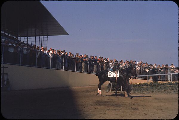[306 Views of Aqueduct Raceway for Unpublished Sports Illustrated Article], Walker Evans (American, St. Louis, Missouri 1903–1975 New Haven, Connecticut), Color film transparency