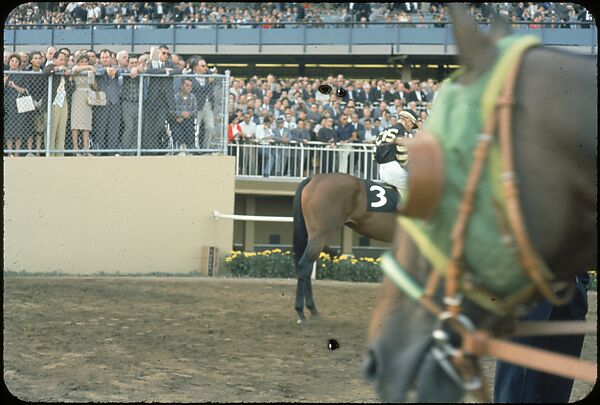[306 Views of Aqueduct Raceway for Unpublished Sports Illustrated Article], Walker Evans (American, St. Louis, Missouri 1903–1975 New Haven, Connecticut), Color film transparency