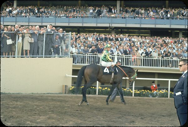 [306 Views of Aqueduct Raceway for Unpublished Sports Illustrated Article], Walker Evans (American, St. Louis, Missouri 1903–1975 New Haven, Connecticut), Color film transparency