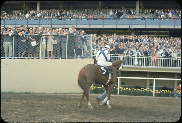 [306 Views of Aqueduct Raceway for Unpublished Sports Illustrated Article], Walker Evans (American, St. Louis, Missouri 1903–1975 New Haven, Connecticut), Color film transparency
