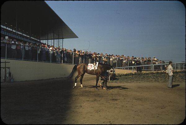 [306 Views of Aqueduct Raceway for Unpublished Sports Illustrated Article], Walker Evans (American, St. Louis, Missouri 1903–1975 New Haven, Connecticut), Color film transparency