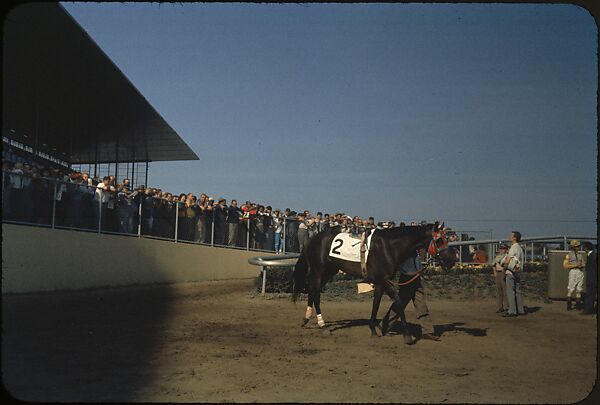 [306 Views of Aqueduct Raceway for Unpublished Sports Illustrated Article], Walker Evans (American, St. Louis, Missouri 1903–1975 New Haven, Connecticut), Color film transparency