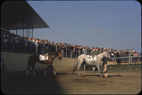 [306 Views of Aqueduct Raceway for Unpublished Sports Illustrated Article], Walker Evans (American, St. Louis, Missouri 1903–1975 New Haven, Connecticut), Color film transparency