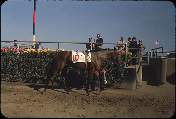 [306 Views of Aqueduct Raceway for Unpublished Sports Illustrated Article], Walker Evans (American, St. Louis, Missouri 1903–1975 New Haven, Connecticut), Color film transparency