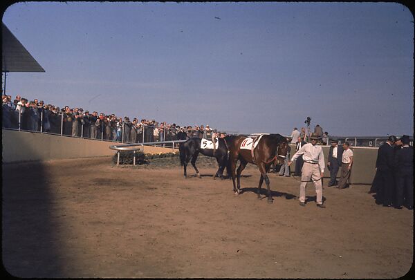 [306 Views of Aqueduct Raceway for Unpublished Sports Illustrated Article], Walker Evans (American, St. Louis, Missouri 1903–1975 New Haven, Connecticut), Color film transparency