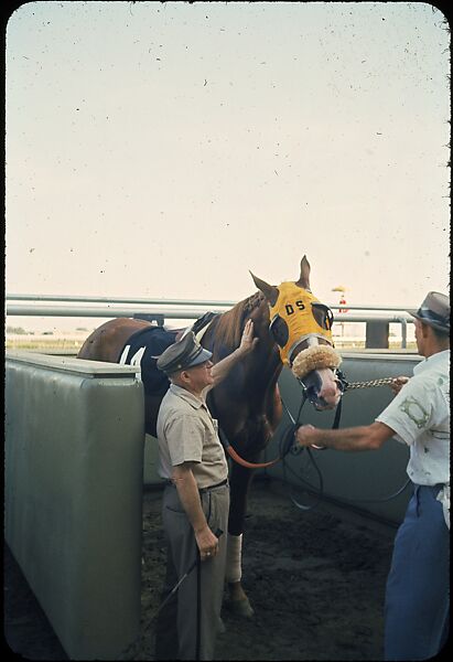 [306 Views of Aqueduct Raceway for Unpublished Sports Illustrated Article], Walker Evans (American, St. Louis, Missouri 1903–1975 New Haven, Connecticut), Color film transparency