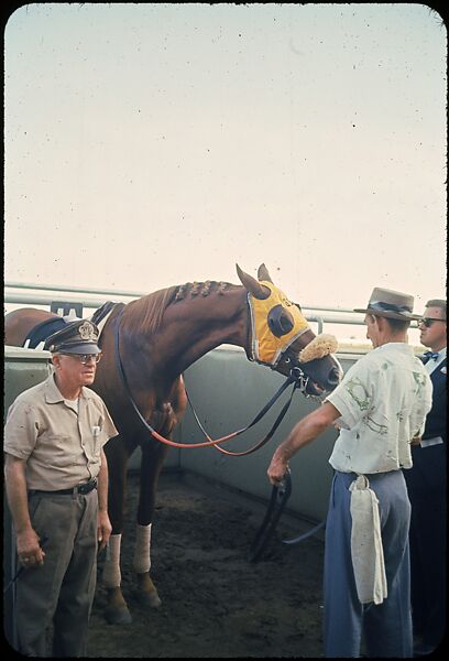 [306 Views of Aqueduct Raceway for Unpublished Sports Illustrated Article], Walker Evans (American, St. Louis, Missouri 1903–1975 New Haven, Connecticut), Color film transparency