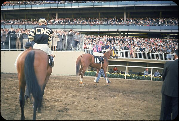 [306 Views of Aqueduct Raceway for Unpublished Sports Illustrated Article], Walker Evans (American, St. Louis, Missouri 1903–1975 New Haven, Connecticut), Color film transparency