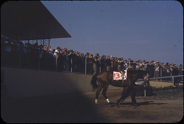 [306 Views of Aqueduct Raceway for Unpublished Sports Illustrated Article], Walker Evans (American, St. Louis, Missouri 1903–1975 New Haven, Connecticut), Color film transparency