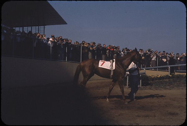 [306 Views of Aqueduct Raceway for Unpublished Sports Illustrated Article], Walker Evans (American, St. Louis, Missouri 1903–1975 New Haven, Connecticut), Color film transparency