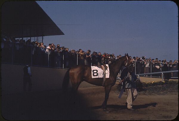 [306 Views of Aqueduct Raceway for Unpublished Sports Illustrated Article], Walker Evans (American, St. Louis, Missouri 1903–1975 New Haven, Connecticut), Color film transparency