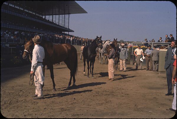 [306 Views of Aqueduct Raceway for Unpublished Sports Illustrated Article], Walker Evans (American, St. Louis, Missouri 1903–1975 New Haven, Connecticut), Color film transparency