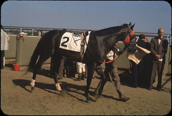 [306 Views of Aqueduct Raceway for Unpublished Sports Illustrated Article], Walker Evans (American, St. Louis, Missouri 1903–1975 New Haven, Connecticut), Color film transparency