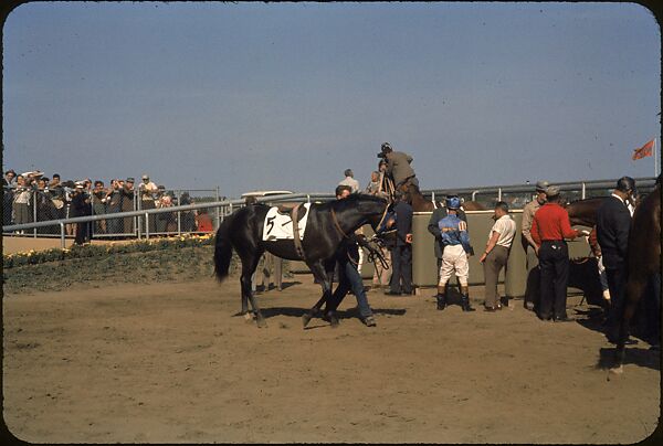 [306 Views of Aqueduct Raceway for Unpublished Sports Illustrated Article], Walker Evans (American, St. Louis, Missouri 1903–1975 New Haven, Connecticut), Color film transparency