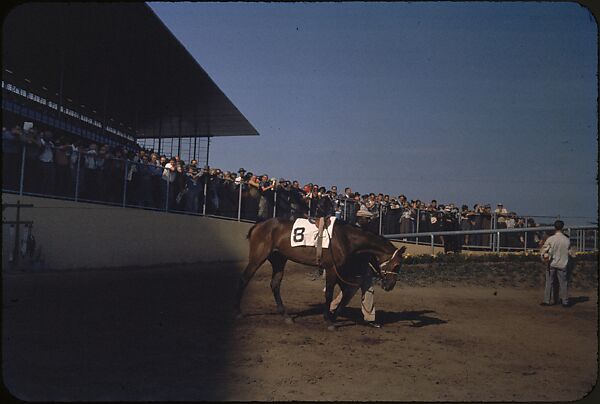 [306 Views of Aqueduct Raceway for Unpublished Sports Illustrated Article], Walker Evans (American, St. Louis, Missouri 1903–1975 New Haven, Connecticut), Color film transparency