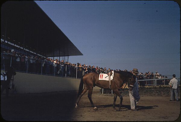 [306 Views of Aqueduct Raceway for Unpublished Sports Illustrated Article], Walker Evans (American, St. Louis, Missouri 1903–1975 New Haven, Connecticut), Color film transparency