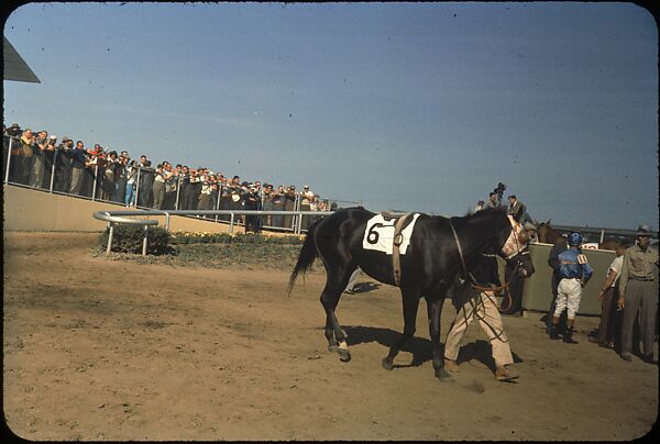 [306 Views of Aqueduct Raceway for Unpublished Sports Illustrated Article], Walker Evans (American, St. Louis, Missouri 1903–1975 New Haven, Connecticut), Color film transparency