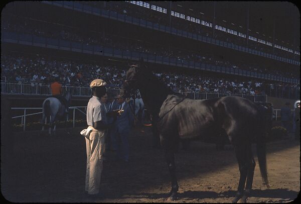 [306 Views of Aqueduct Raceway for Unpublished Sports Illustrated Article], Walker Evans (American, St. Louis, Missouri 1903–1975 New Haven, Connecticut), Color film transparency