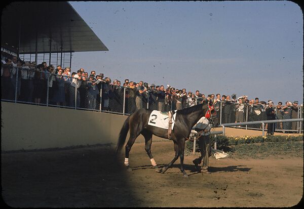 [306 Views of Aqueduct Raceway for Unpublished Sports Illustrated Article], Walker Evans (American, St. Louis, Missouri 1903–1975 New Haven, Connecticut), Color film transparency