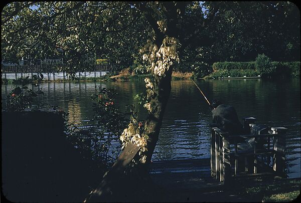 [25 Views of Fishing on the Thames River for Sports Illustrated Article], Walker Evans (American, St. Louis, Missouri 1903–1975 New Haven, Connecticut), Color film transparency