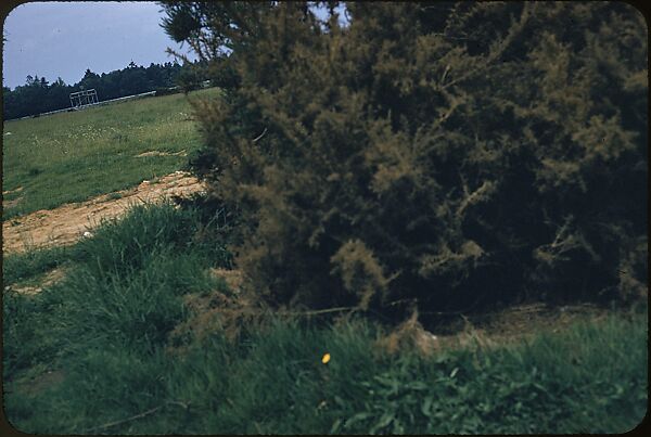 [25 Views of Miscellaneous British Sports, Including Hunting, Punting, and Cricket], Walker Evans (American, St. Louis, Missouri 1903–1975 New Haven, Connecticut), Color film transparency