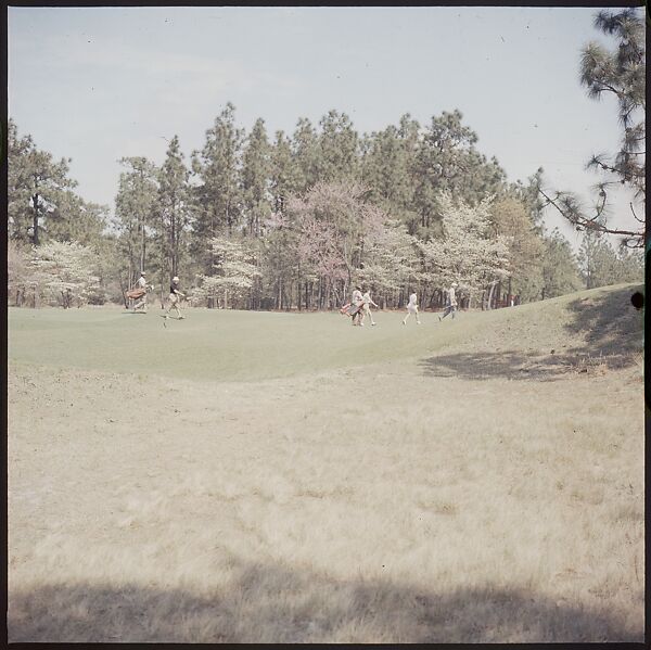 [244 Views of British Golf Courses Including Pinehurst, St. Andrews, Scotland (1956), and Hartsbourne, England (1954) for Sports Illustrated Article, "St. Andrews," July 1, 1957], Walker Evans (American, St. Louis, Missouri 1903–1975 New Haven, Connecticut), Color film transparency