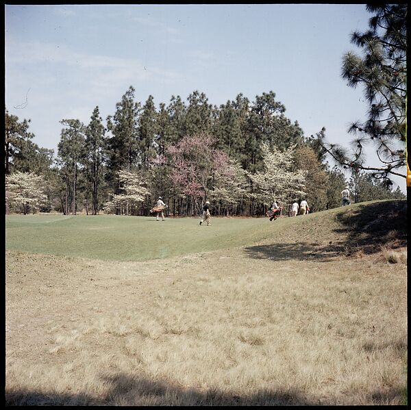 [244 Views of British Golf Courses Including Pinehurst, St. Andrews, Scotland (1956), and Hartsbourne, England (1954) for Sports Illustrated Article, "St. Andrews," July 1, 1957], Walker Evans (American, St. Louis, Missouri 1903–1975 New Haven, Connecticut), Color film transparency