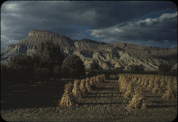 [210 Landscape Views from Train Window: "California Zephyr Train Trip" and "Chicago Train Trip"], Walker Evans (American, St. Louis, Missouri 1903–1975 New Haven, Connecticut), Color film transparency