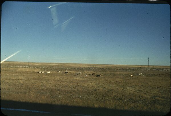 [210 Landscape Views from Train Window: "California Zephyr Train Trip" and "Chicago Train Trip"], Walker Evans (American, St. Louis, Missouri 1903–1975 New Haven, Connecticut), Color film transparency