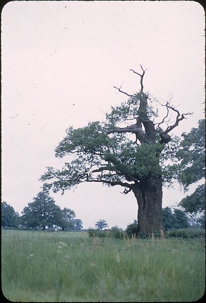 [41 Miscellaneous Transparencies, Including Portraits, Still-life, Landscapes, Gallery Installation Views, and Architecture], Walker Evans (American, St. Louis, Missouri 1903–1975 New Haven, Connecticut), Color film transparency