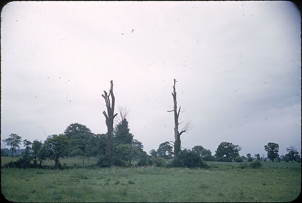 [41 Miscellaneous Transparencies, Including Portraits, Still-life, Landscapes, Gallery Installation Views, and Architecture], Walker Evans (American, St. Louis, Missouri 1903–1975 New Haven, Connecticut), Color film transparency
