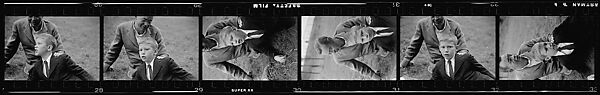 [104 Portraits of Young Girl and Boy on Lawn: "Alexander"], Walker Evans (American, St. Louis, Missouri 1903–1975 New Haven, Connecticut), Film negative