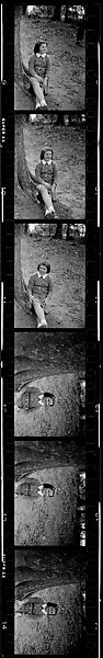 [104 Portraits of Young Girl and Boy on Lawn: "Alexander"], Walker Evans (American, St. Louis, Missouri 1903–1975 New Haven, Connecticut), Film negative