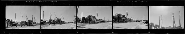 [171 Portraits of Penelope Andrews, Portraits of Walker Evans, Landscapes, and Architectural Views in Florida], Walker Evans (American, St. Louis, Missouri 1903–1975 New Haven, Connecticut), Film negative