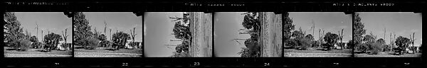 [171 Portraits of Penelope Andrews, Portraits of Walker Evans, Landscapes, and Architectural Views in Florida], Walker Evans (American, St. Louis, Missouri 1903–1975 New Haven, Connecticut), Film negative