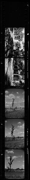 [171 Portraits of Penelope Andrews, Portraits of Walker Evans, Landscapes, and Architectural Views in Florida], Walker Evans (American, St. Louis, Missouri 1903–1975 New Haven, Connecticut), Film negative