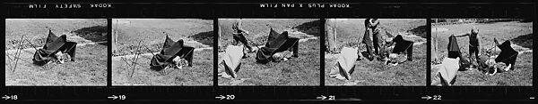 [127 Portraits of the Children of Barron Gourlay on Lawn and Children's Theater Performance], Walker Evans (American, St. Louis, Missouri 1903–1975 New Haven, Connecticut), Film negative
