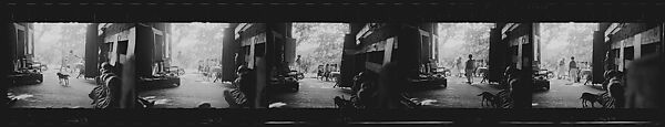 [127 Portraits of the Children of Barron Gourlay on Lawn and Children's Theater Performance], Walker Evans (American, St. Louis, Missouri 1903–1975 New Haven, Connecticut), Film negative