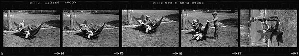 [127 Portraits of the Children of Barron Gourlay on Lawn and Children's Theater Performance], Walker Evans (American, St. Louis, Missouri 1903–1975 New Haven, Connecticut), Film negative