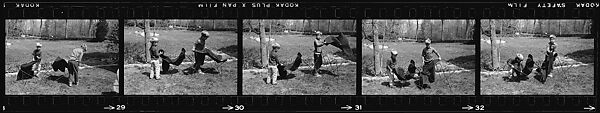 [127 Portraits of the Children of Barron Gourlay on Lawn and Children's Theater Performance], Walker Evans (American, St. Louis, Missouri 1903–1975 New Haven, Connecticut), Film negative