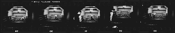 [31 Views of Skittle Alley in Pub and Street Scenes, London], Walker Evans (American, St. Louis, Missouri 1903–1975 New Haven, Connecticut), Film negative