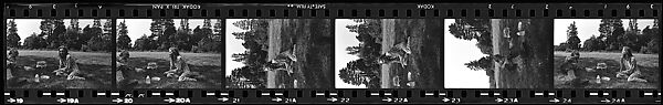 [446 Portraits of Caroline Blackwood, Robert Lowell, and Unidentified Others, Streets Scenes, and Interiors, England and Holland], Walker Evans (American, St. Louis, Missouri 1903–1975 New Haven, Connecticut), Film negative