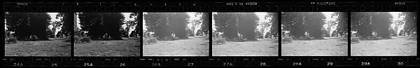 [446 Portraits of Caroline Blackwood, Robert Lowell, and Unidentified Others, Streets Scenes, and Interiors, England and Holland], Walker Evans (American, St. Louis, Missouri 1903–1975 New Haven, Connecticut), Film negative