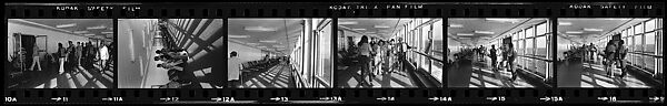 [446 Portraits of Caroline Blackwood, Robert Lowell, and Unidentified Others, Streets Scenes, and Interiors, England and Holland], Walker Evans (American, St. Louis, Missouri 1903–1975 New Haven, Connecticut), Film negative