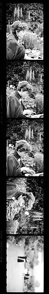 [149 Portraits, Including James A. Stern and Nora Sayre, Views of Architecture, and of England], Walker Evans (American, St. Louis, Missouri 1903–1975 New Haven, Connecticut), Film negative